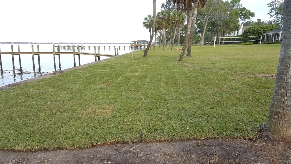 Trusted landscape installation in Middleburg, FL by Freedom Lawn Care & Tractor Services