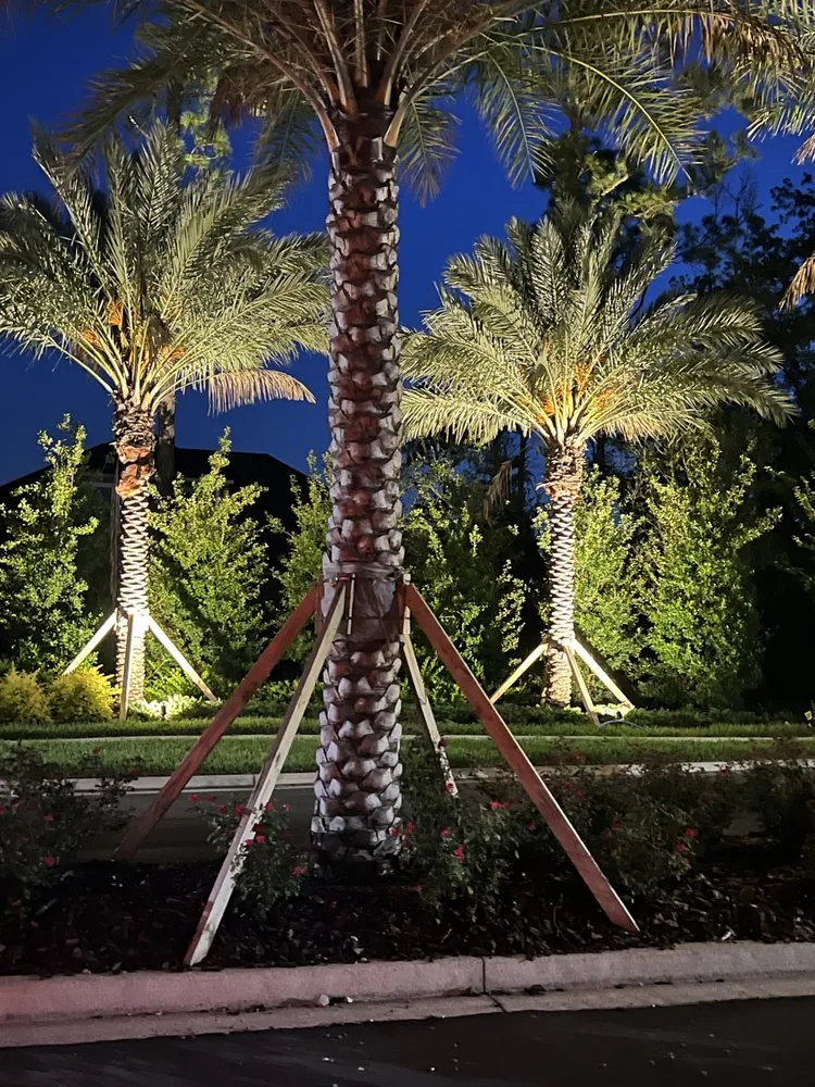 Expert landscape design for year-round maintenance across Middleburg, FL - Freedom Lawn Care & Tractor Services