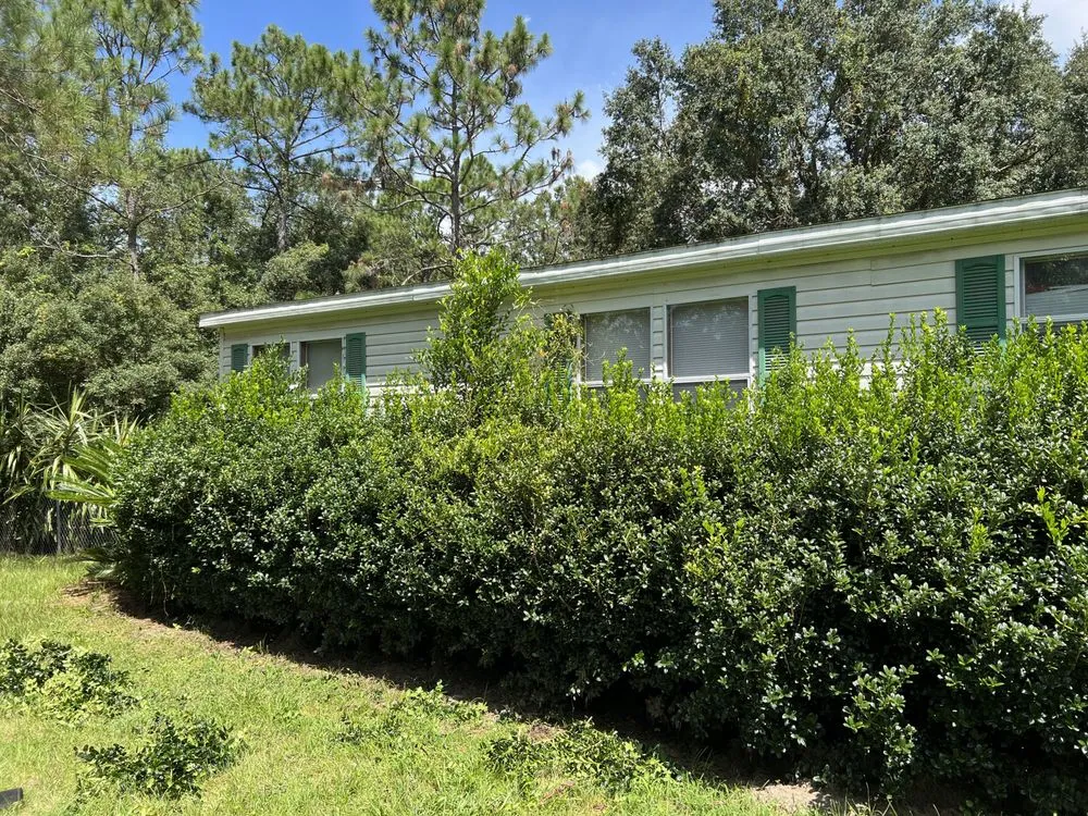 Expert yard maintenance experts serving Middleburg, FL - Freedom Lawn Care & Tractor Services