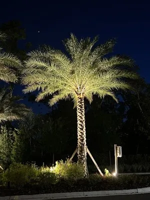 Freedom Lawn Care & Tractor Services Logo