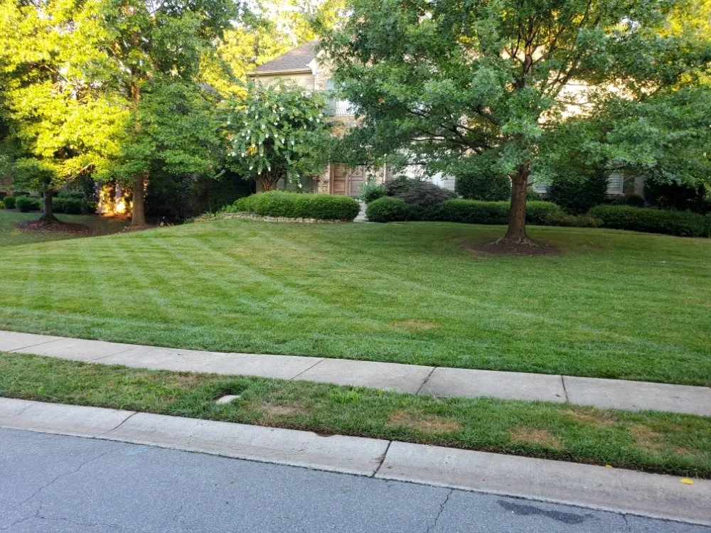 Top-rated lawn mowing service for outdoor upgrades in Monroe, NC by Freedom Lawn Care an Landscape