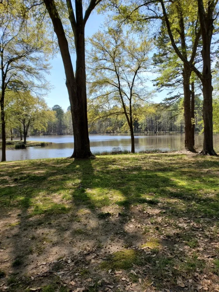 Local landscape installation experts serving Monroe, NC - Freedom Lawn Care an Landscape