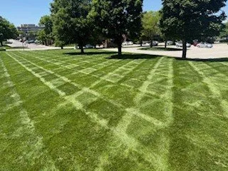 Reliable landscape design with custom design in Bonner Springs, KS by Freedom Lawn care