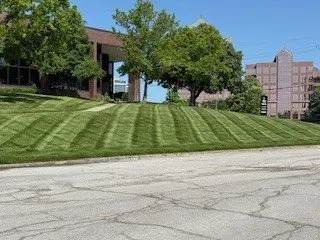 Affordable yard cleanup service experts serving Bonner Springs, KS - Freedom Lawn care