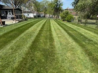 Affordable yard cleanup service in Bonner Springs, KS - Freedom Lawn care