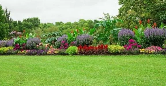 Local lawn mowing service in Florence, AL - Freedom Lawn Care