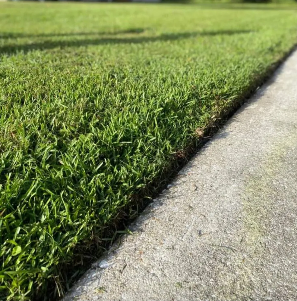 Custom landscape design in St. Marys, GA by Freedom Lawn Care