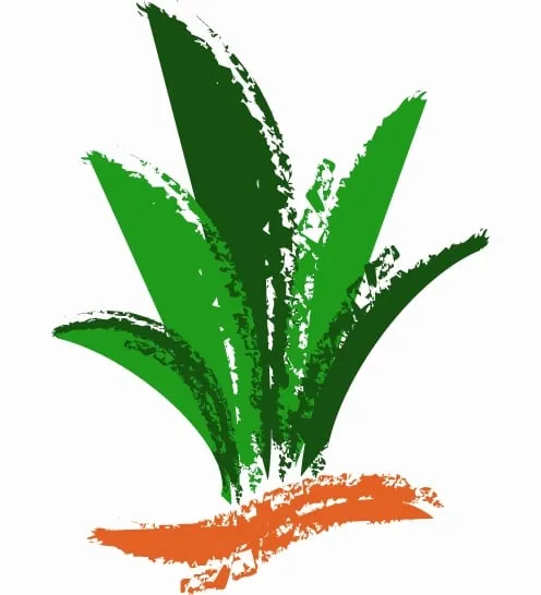 Reliable lawn mowing service in Yuba City, CA by Freedom Lawn Care