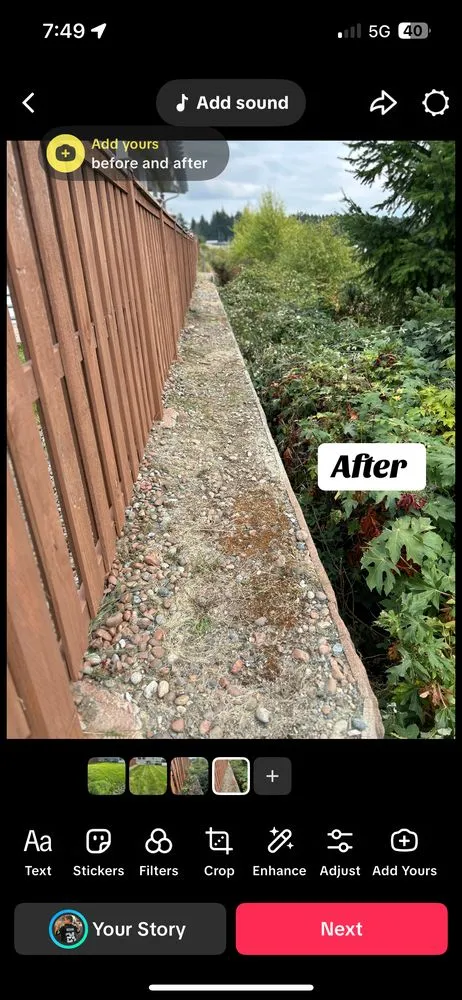 Professional lawn mowing service in Puyallup, WA by Freedom Lawn Service