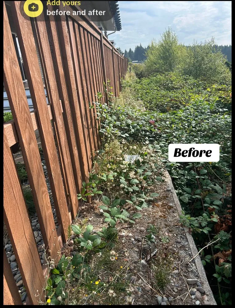 Custom landscape installation experts serving Puyallup, WA - Freedom Lawn Service