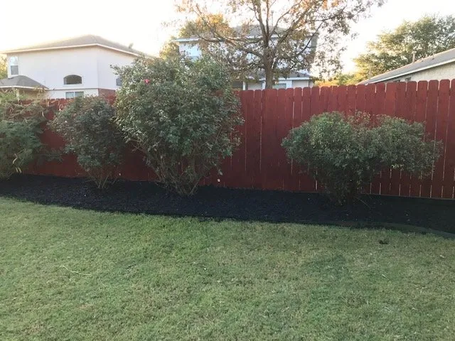 Professional outdoor landscaping in Austin, TX - Freedom Lawn Services