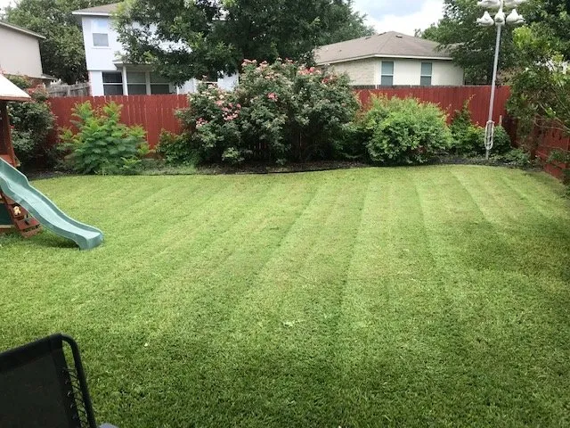 Custom yard cleanup service in Austin, TX - Freedom Lawn Services