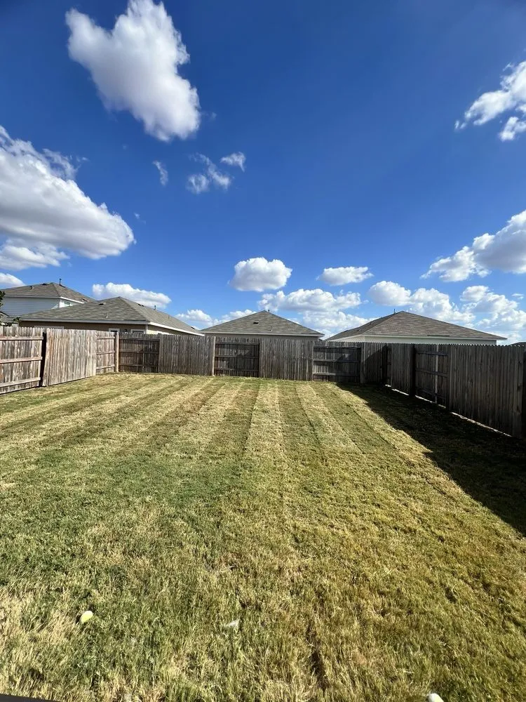 Expert lawn mowing service in Austin, TX by Freedom Lawn Services