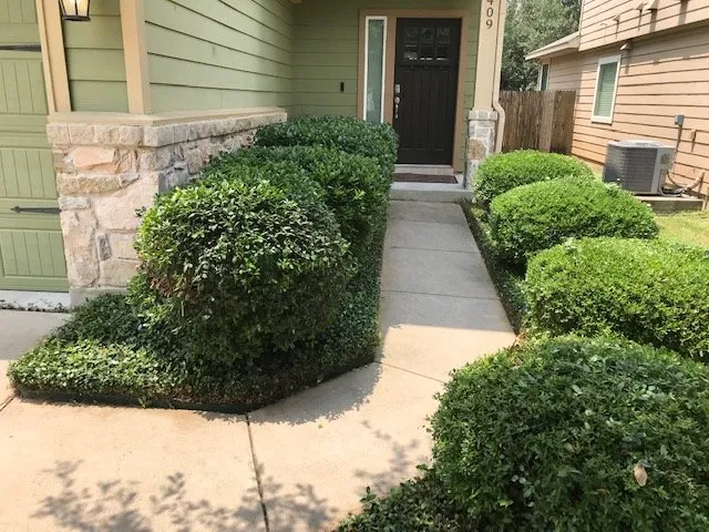 Top-rated outdoor landscaping experts serving Austin, TX - Freedom Lawn Services