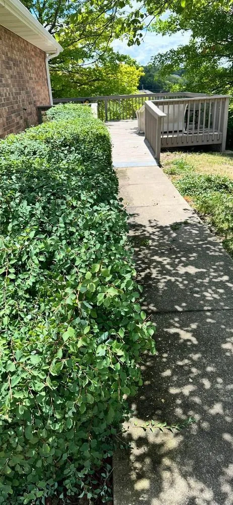 Custom outdoor landscaping in Tebbetts, MO - Freedom Lawn Solutions
