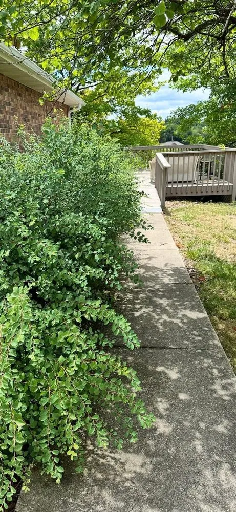 Top-rated landscaping services experts serving Tebbetts, MO - Freedom Lawn Solutions