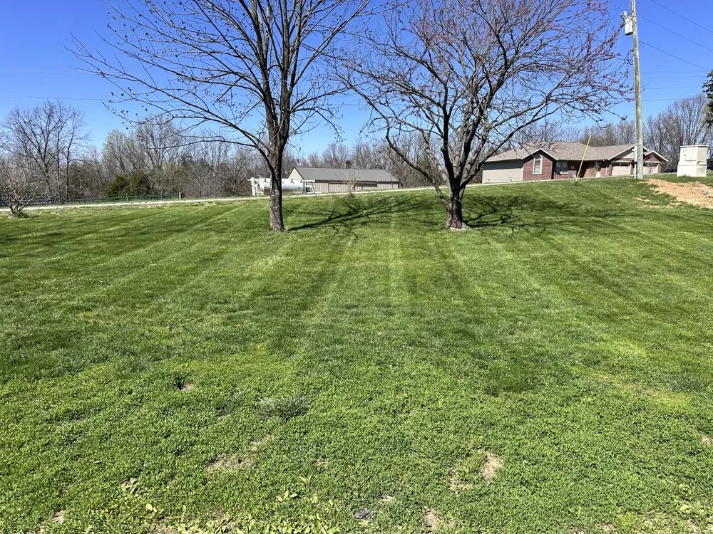 Expert garden landscaping for outdoor upgrades in Tebbetts, MO by Freedom Lawn Solutions