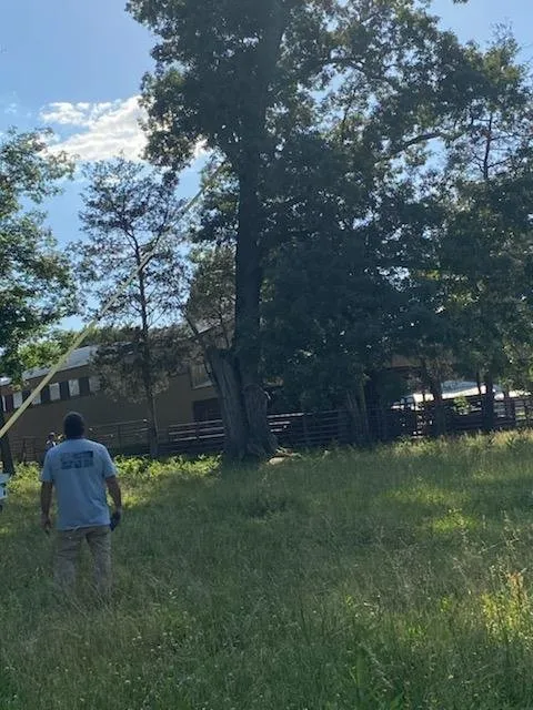 Professional lawn care service for homes in Shelbyville, TN by Freedom Lawncare and Tree Service