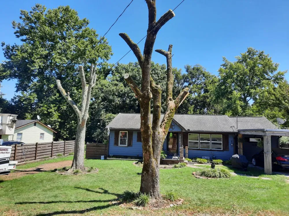 Professional landscaping services with custom design in Shelbyville, TN by Freedom Lawncare and Tree Service