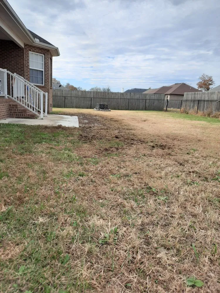 Reliable lawn care service for homes across Shelbyville, TN - Freedom Lawncare and Tree Service