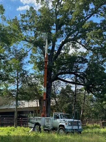 Professional yard cleanup service in Shelbyville, TN - Freedom Lawncare and Tree Service