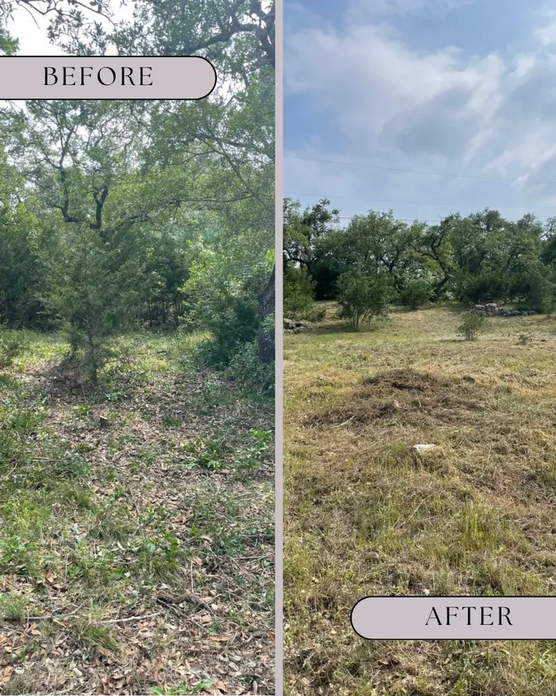 Trusted residential landscaping for year-round maintenance across San Antonio, TX - Freedom Lawncare And Tree Services