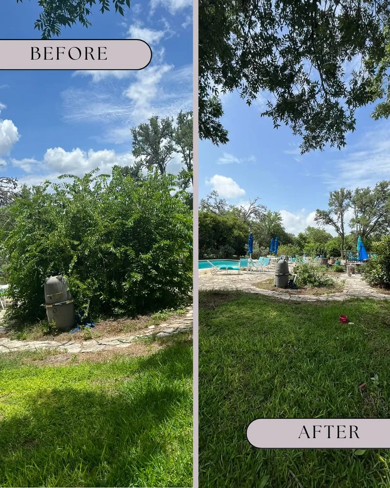 Affordable garden landscaping for year-round maintenance in San Antonio, TX by Freedom Lawncare And Tree Services