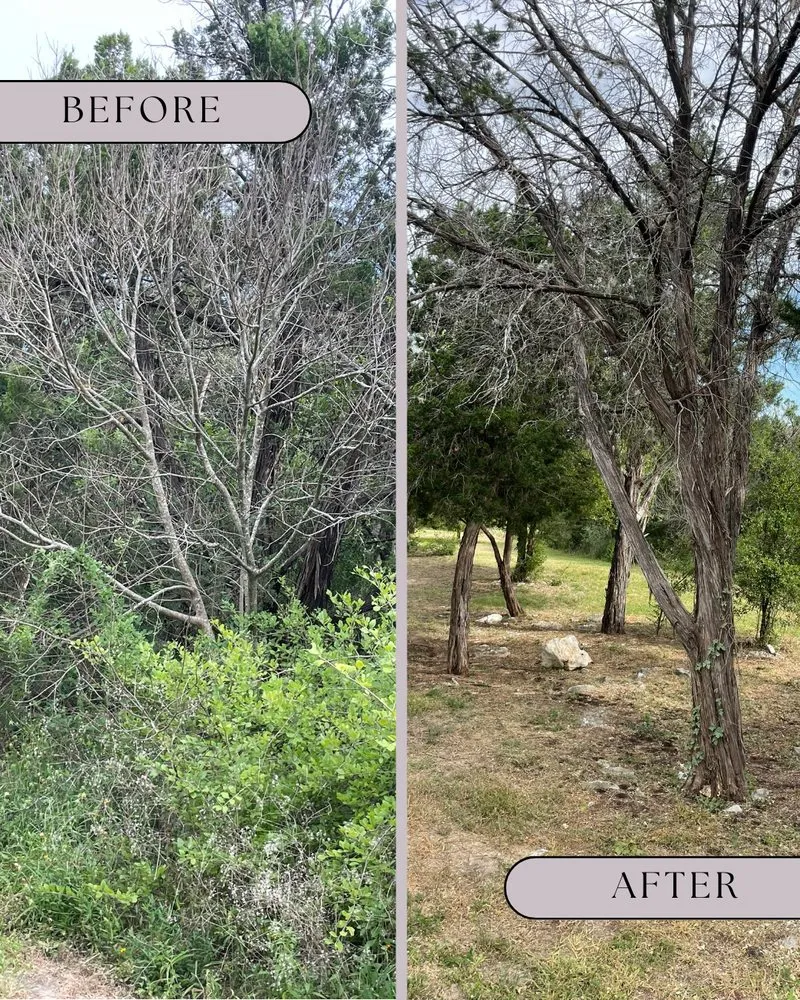 Professional lawn mowing service for homes across San Antonio, TX - Freedom Lawncare And Tree Services