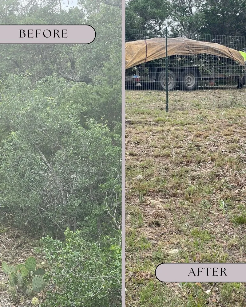 Top-rated yard cleanup service experts serving San Antonio, TX - Freedom Lawncare And Tree Services