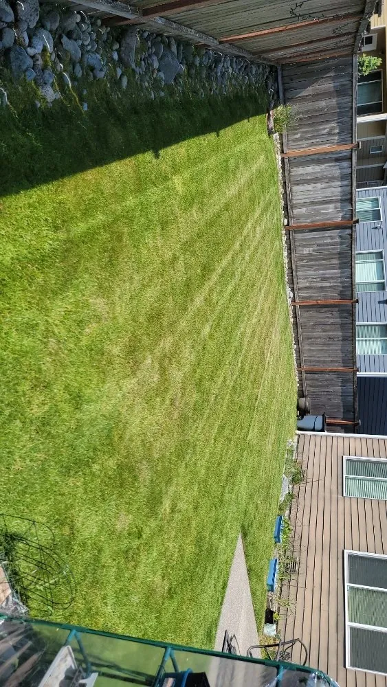 Expert landscape installation for beautiful yards across Spanaway, WA - Freedom Lawncare