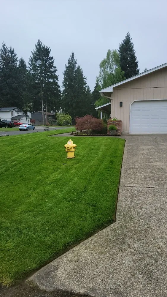 Reliable garden landscaping near you across Spanaway, WA - Freedom Lawncare