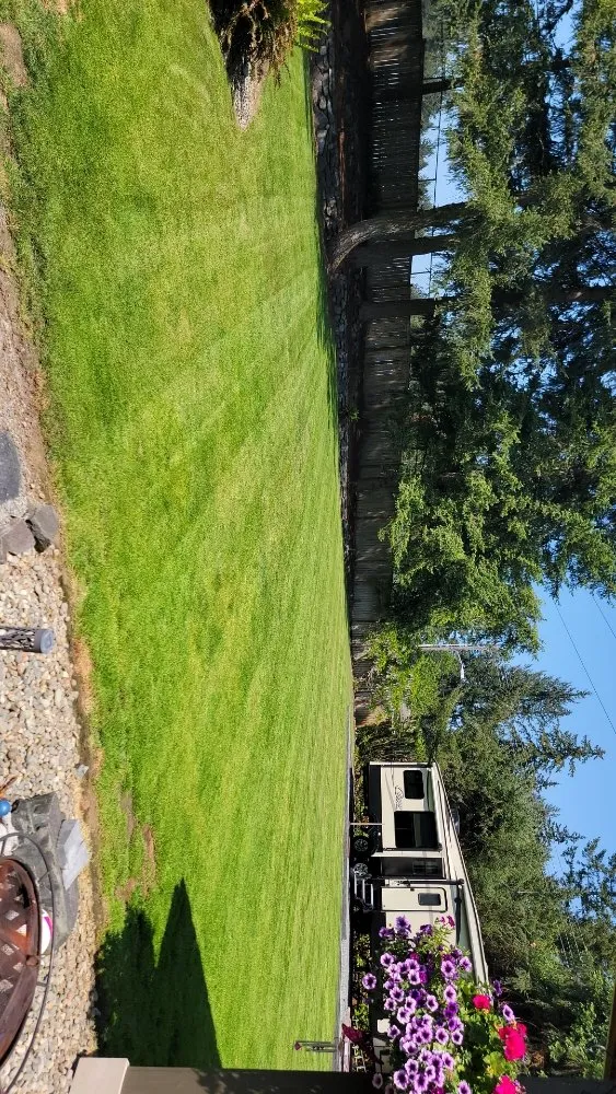 Affordable landscape installation in Spanaway, WA by Freedom Lawncare