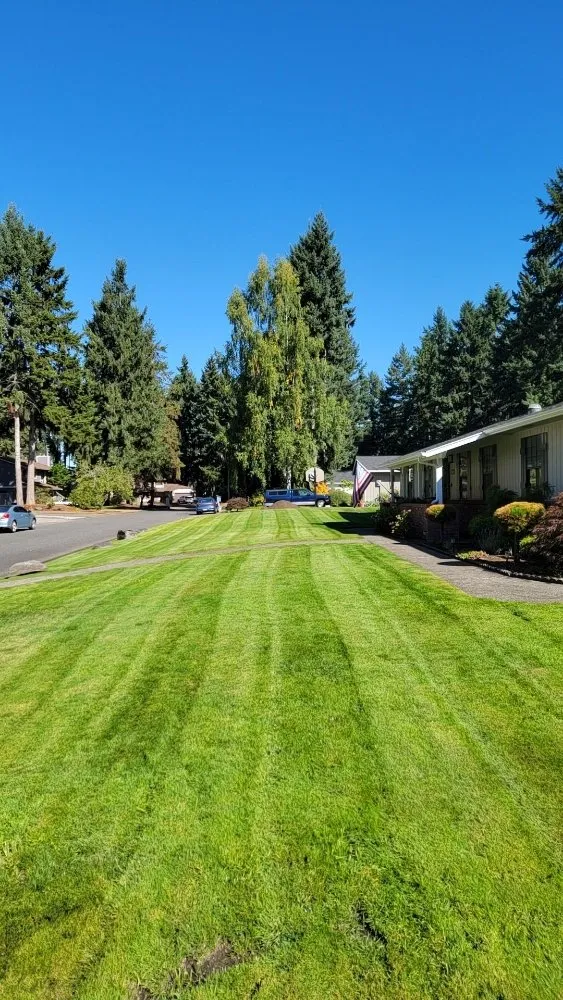 Local landscape design for outdoor upgrades across Spanaway, WA - Freedom Lawncare