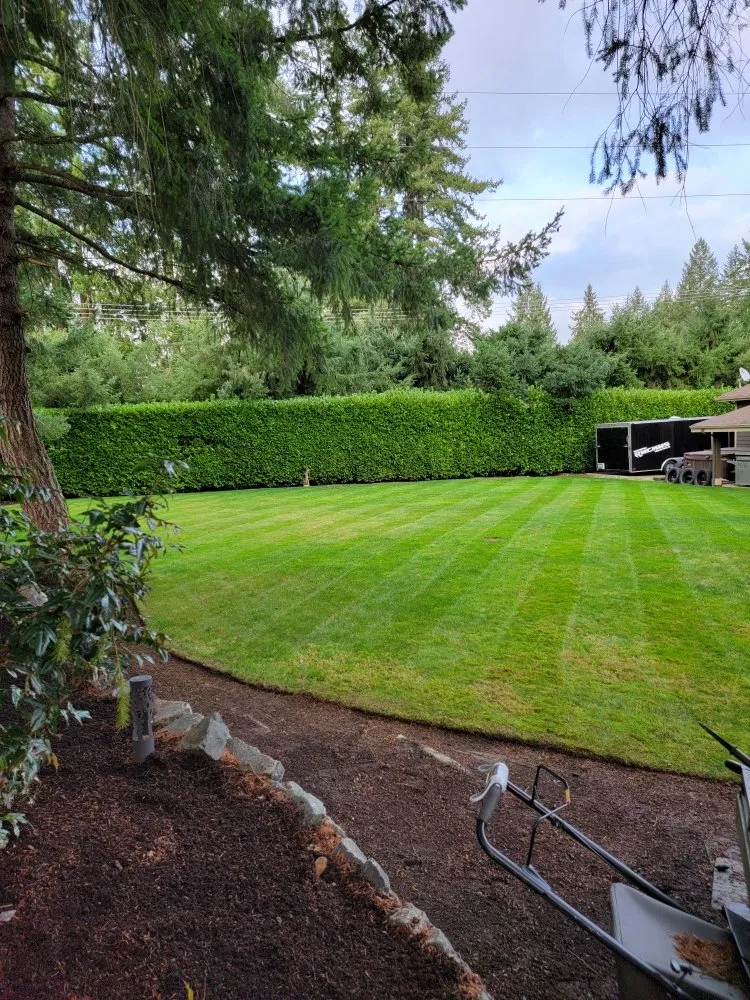 Top-rated outdoor landscaping near you across Spanaway, WA - Freedom Lawncare