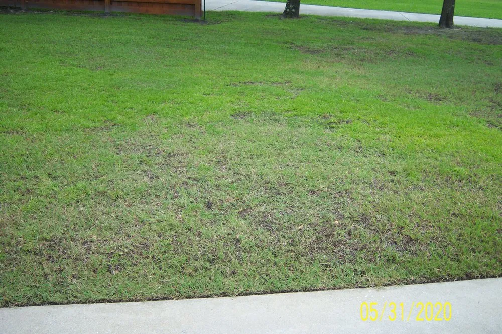 Reliable yard cleanup service in Wilmington, NC - Freedom Lawns