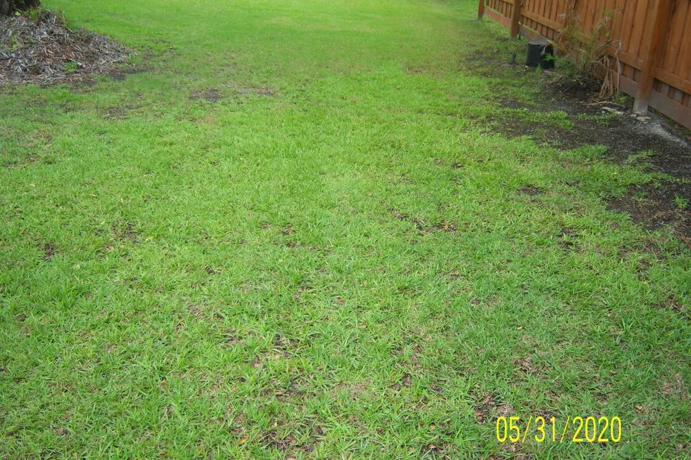Trusted garden landscaping experts serving Wilmington, NC - Freedom Lawns