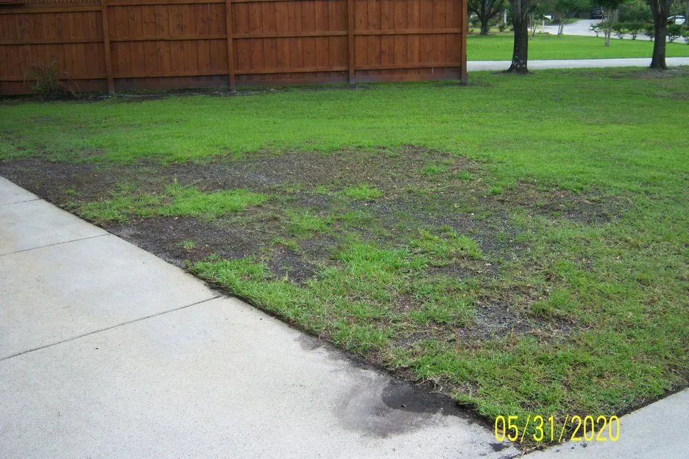Expert yard maintenance in Wilmington, NC by Freedom Lawns