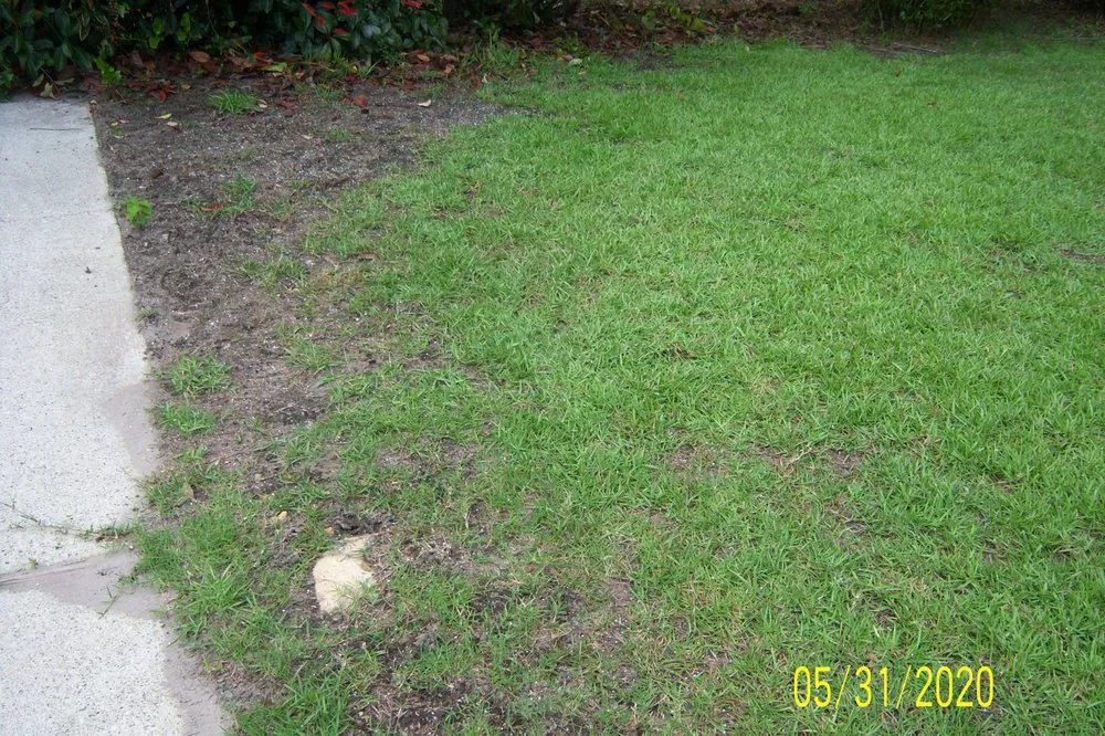 Trusted yard maintenance experts serving Wilmington, NC - Freedom Lawns