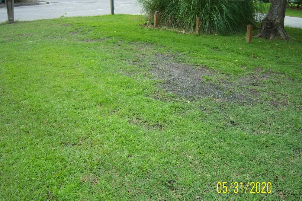 Professional lawn mowing service for residential properties in Wilmington, NC by Freedom Lawns
