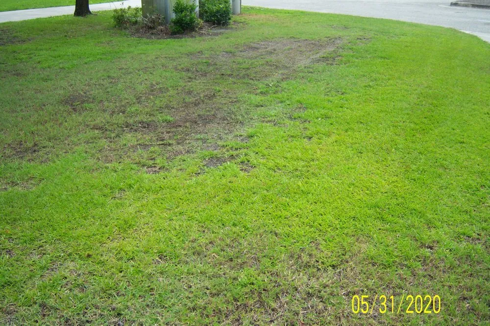 Trusted landscape design in Wilmington, NC - Freedom Lawns