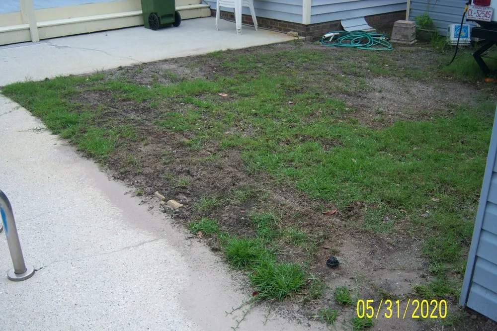 Trusted landscaping services for beautiful yards in Wilmington, NC by Freedom Lawns