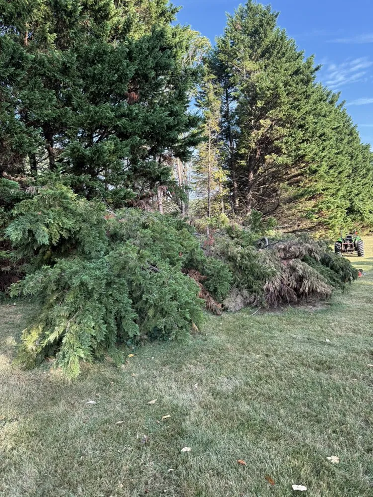Expert landscape installation in Lynch Station, VA - Freedom Outdoor Services