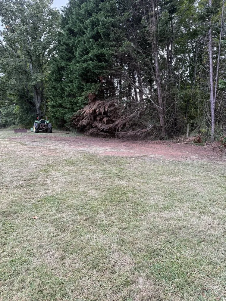 Trusted lawn mowing service for year-round maintenance in Lynch Station, VA by Freedom Outdoor Services