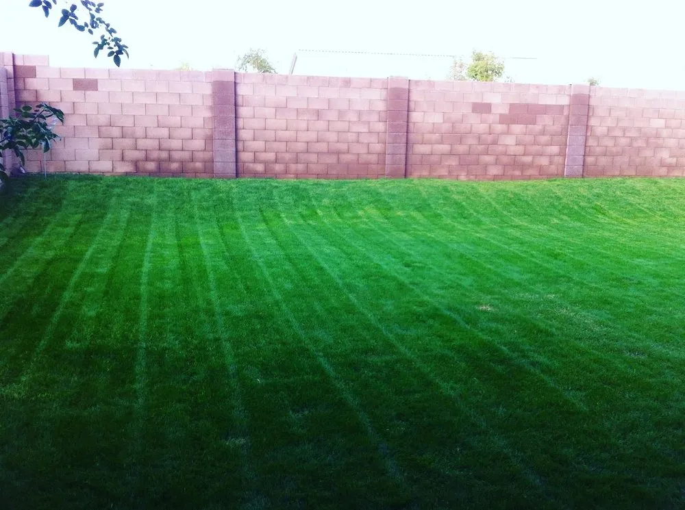 Expert yard cleanup service in Waddell, AZ by Freedom Pool & Yard