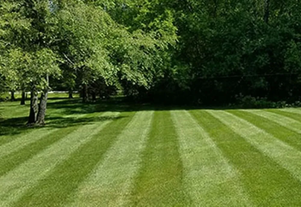 Custom landscaping services in Gladwin, MI by Freedom Property Maintenance