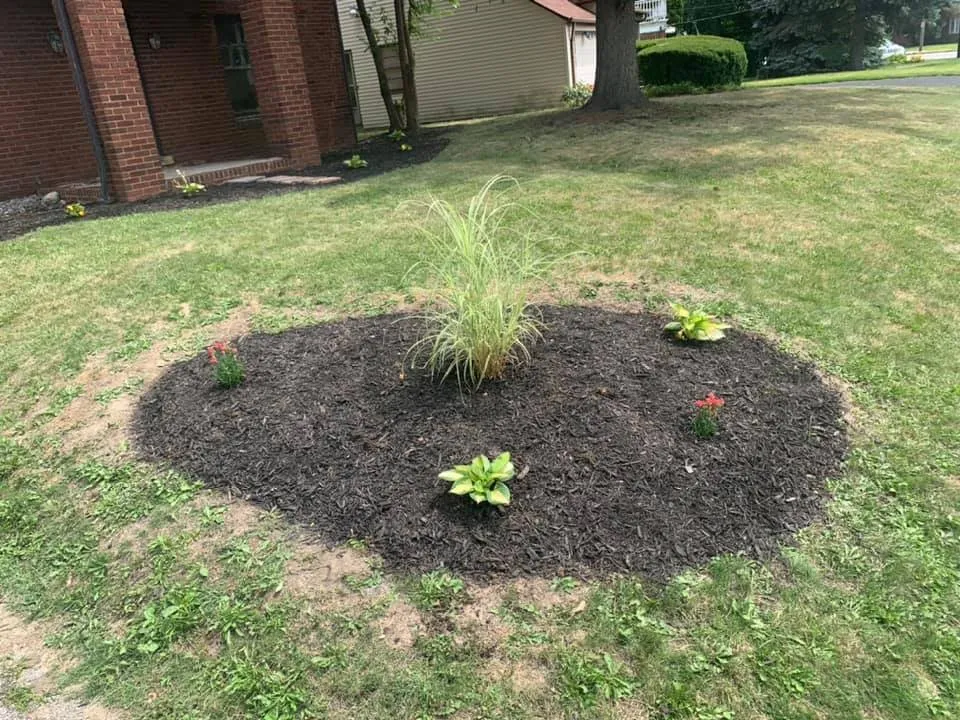 Affordable yard maintenance for beautiful yards in Wadsworth, OH by Freedom Property Preservations