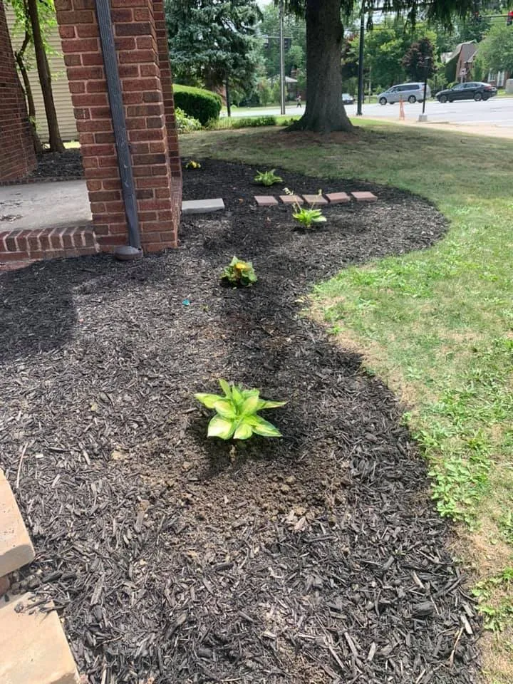 Top-rated lawn mowing service experts serving Wadsworth, OH - Freedom Property Preservations