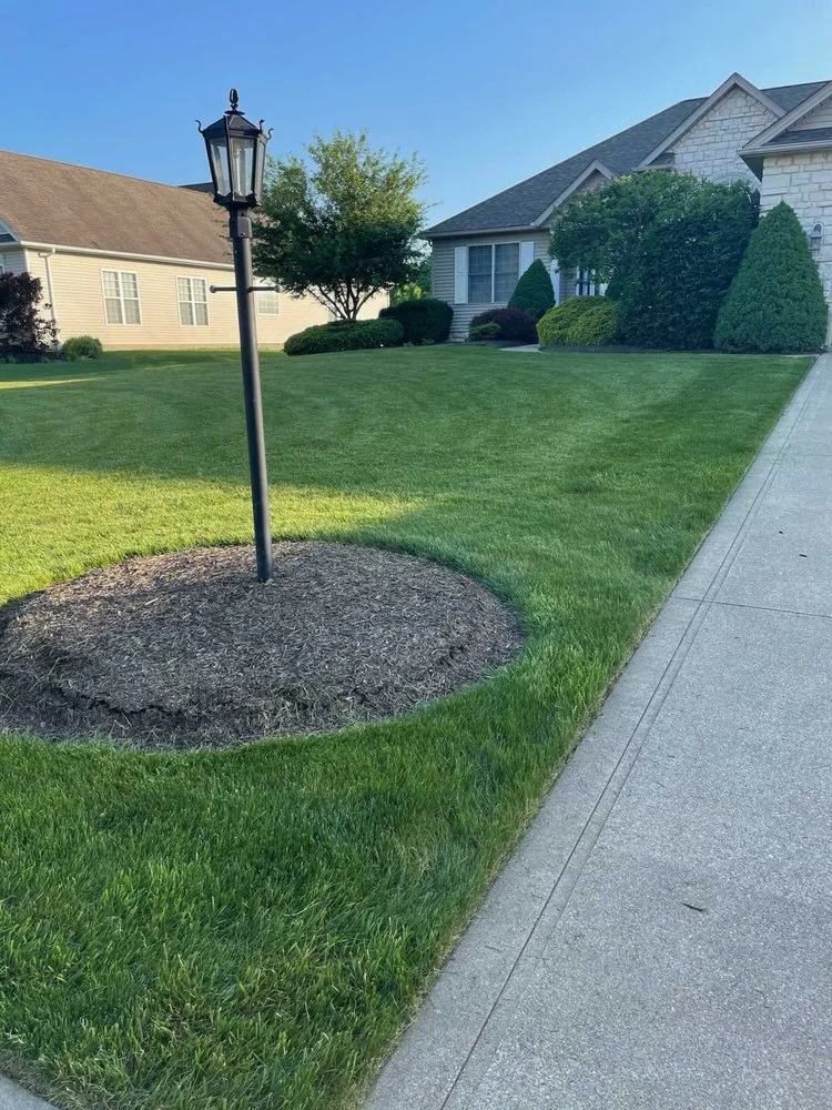 Custom lawn mowing service experts serving Wadsworth, OH - Freedom Property Preservations