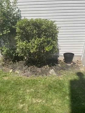 Top-rated landscape installation in Wadsworth, OH - Freedom Property Preservations