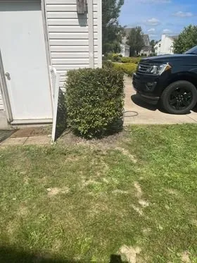 Top-rated yard cleanup service for residential properties across Wadsworth, OH - Freedom Property Preservations